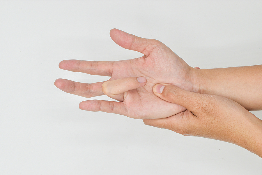 The Difference Between Muscles, Tendons and Ligaments